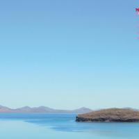 参观手工制作灯笼观后感汇聚