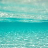 编织童年最美的花环读后感整理