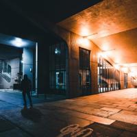 一角钱的玫瑰读后感汇总