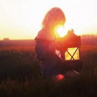 电影哥斯拉读后感汇编