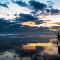 电视剧老板来了观后感精选