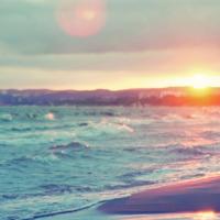 理发师观后感500字选录