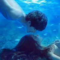 仓库的故事读后感收集