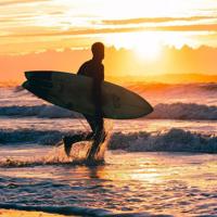 野兽国读后感100字锦集