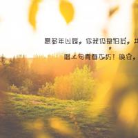 铁匠法国左拉读后感五十字锦集