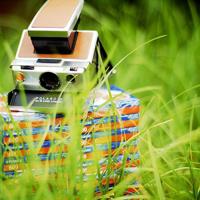 黄鹤楼来历读后感合集