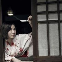 常青树读后感300字摘录