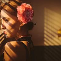 野葫芦引读后感50字合计