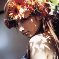 七宝老街观后感100字摘录