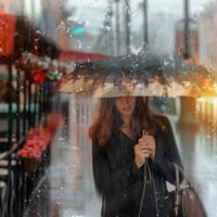 励志感恩报告会观后感收集