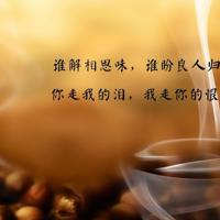 森林火灾演练观后感合集