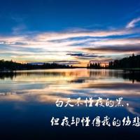 文言文中的阳光读后感汇总