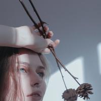 奇妙节之夜读后感选录