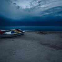 树先生观后感150字聚集