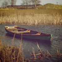 幼儿园大班六一表演观后感汇聚