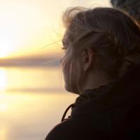 陆游筑书巢读后感300字合集