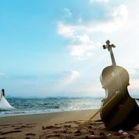 读后感两百字藤野先生总汇