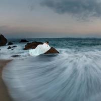 重返桃花园观后感锦集