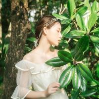 艺术哲学读后感2000集锦