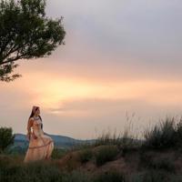 拥抱父亲读后感400字精练