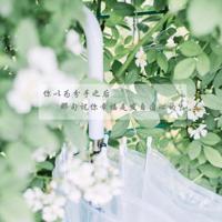 你是我的兄弟观后感50字摘录