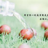 舞蹈风暴漫话清风观后感汇编