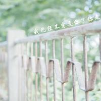 轻轻的抱住妈妈读后感合计