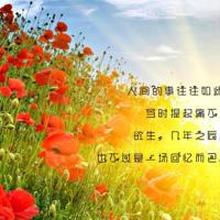 法制中国第二集读后感汇聚