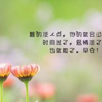 麻雀不唱500字读后感汇聚