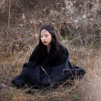 枫叶礼赞读后感500字锦集