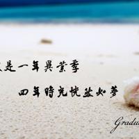 孙悟空的三借芭蕉扇读后感合计