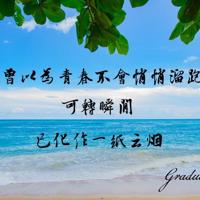 李亚鹏朗读者观后感300精选