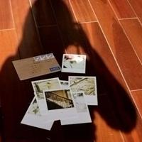 车展汽车同质化观后感汇合