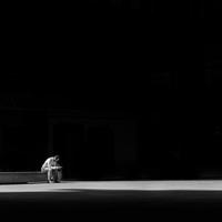 小学生凋谢观后感100字精练