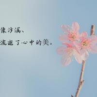 励志校园文化观后感四百字合计