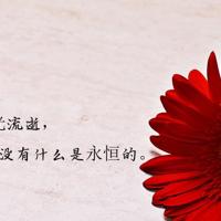 鲁班门前弄大斧读后感汇合