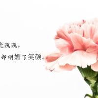 憨豆先生吃海鲜大餐观后感集锦