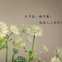 给你想要的生活读后感汇合