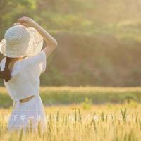 恐龙当家这部电影的观后感摘录