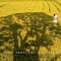 辉煌的60年观后感精选