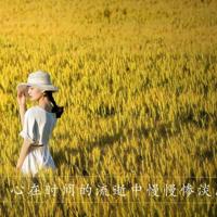 鲁西西传奇怪的大学读后感精选