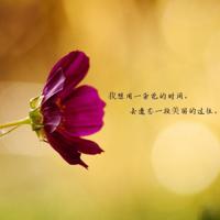 狮子和我绘本读后感合集