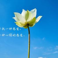 燃烧的月亮读后感细选