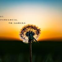 大学生学生守则读后感锦集