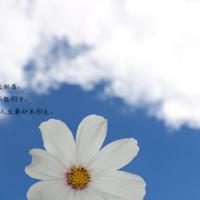 优秀女性进校园宣讲观后感锦集