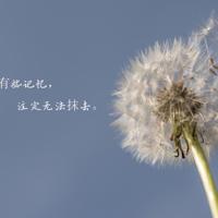 《创新者的方法》读后感汇合