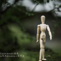 韩国妈妈别哭观后感汇聚