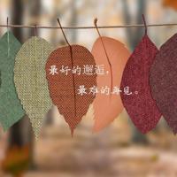 妈妈心妈妈树读读后感聚集