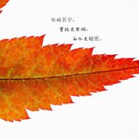 趣味的物理学问答读后感精练