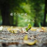 战狼1观后感800字汇总